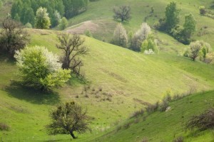 Трахтемирів. Фото: Ніна Ліщук, Дмитро Гілітуха (studway.com.ua)
